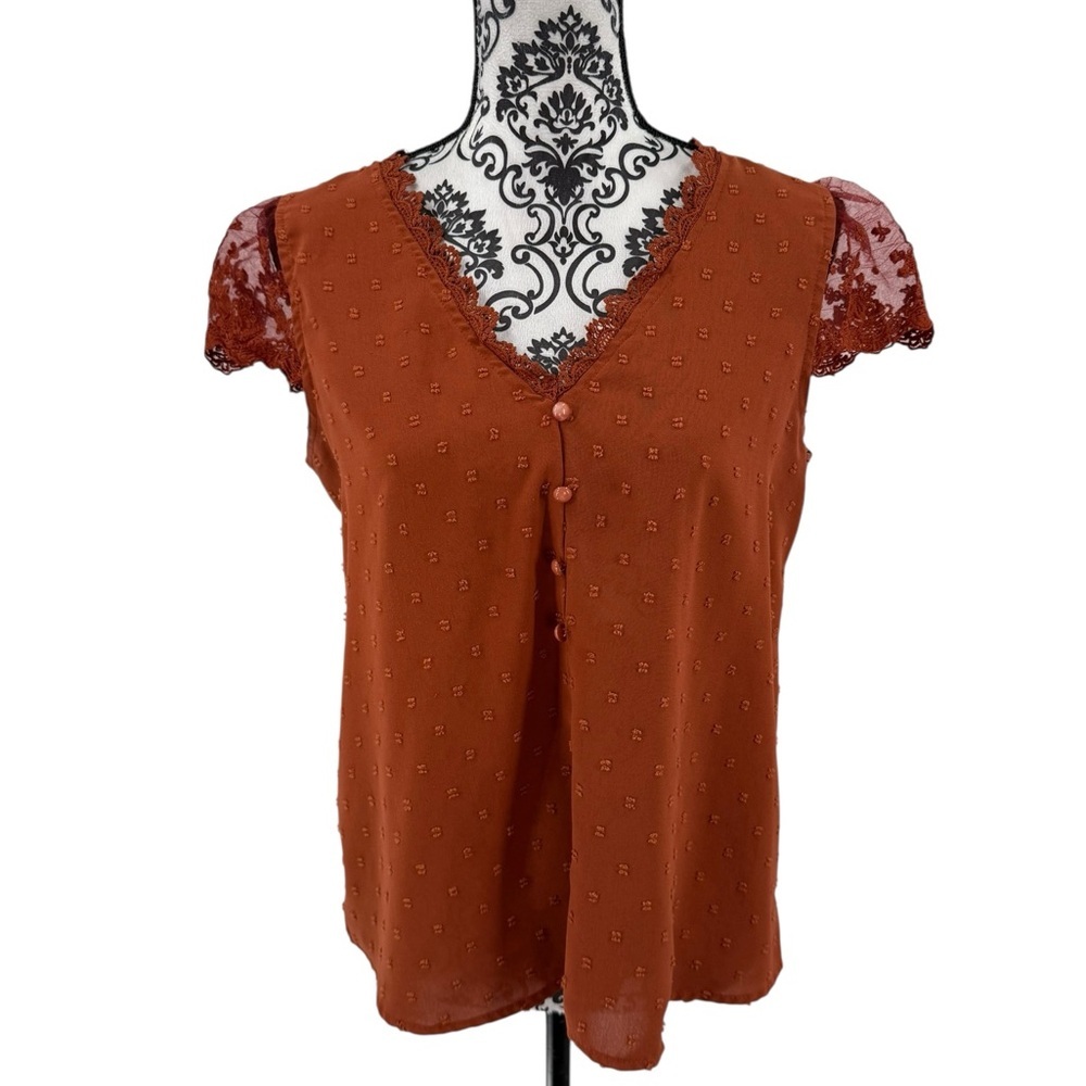 SHEIN Rust Orange Swiss Dot Lace Sleeve Blouse
Romantic Fall Boho Top, M